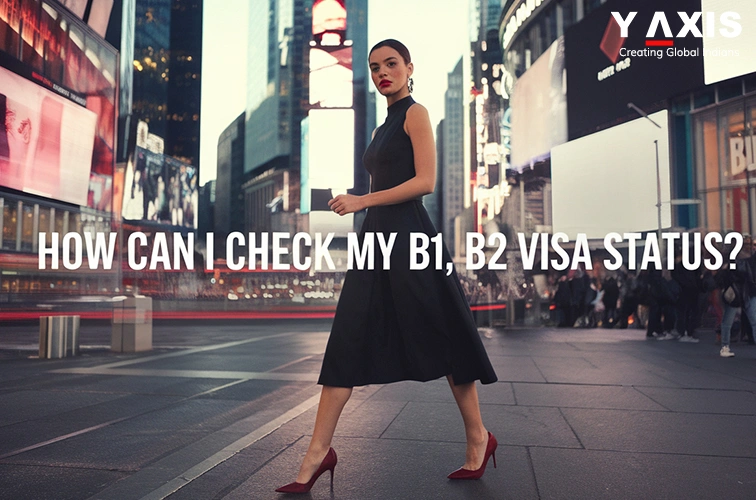 check B1/B2 Visa status