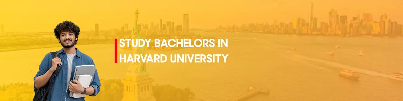 Study Bachelors in Harvard University