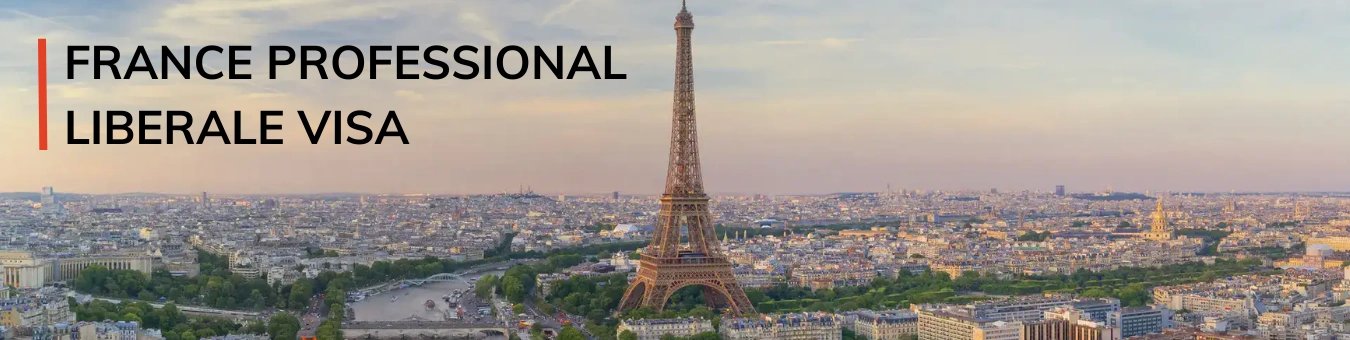 France professional Liberale Visa