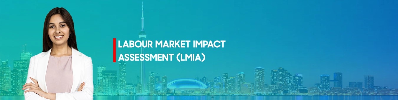 Lamour Market Impact Assessment