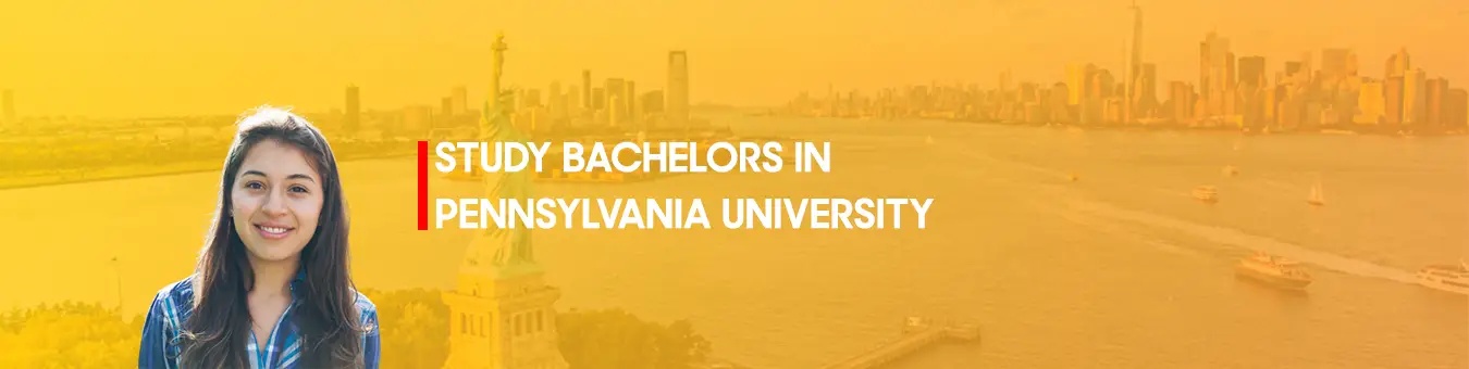 study bachelors in pennsylvania university