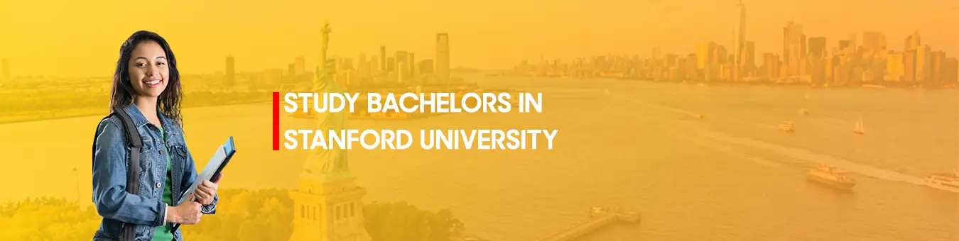 study bachelors in stanford university