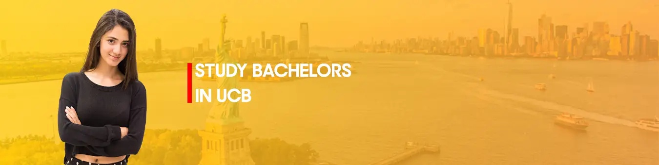 study bachelors in ucb