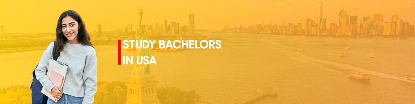 Study Bachelors in USA