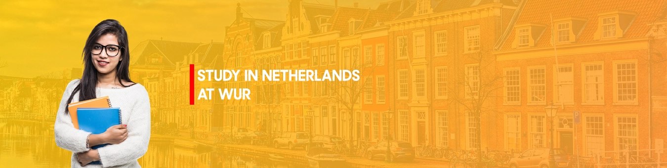 study in netherlands at wur