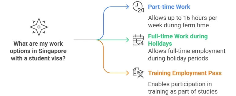 what are my work options in singapore with a student visa