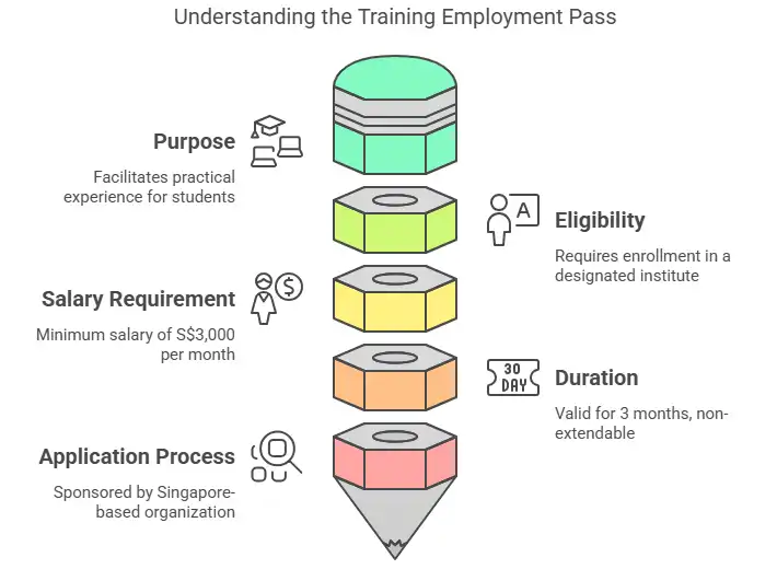 Singapore Training Employment Pass